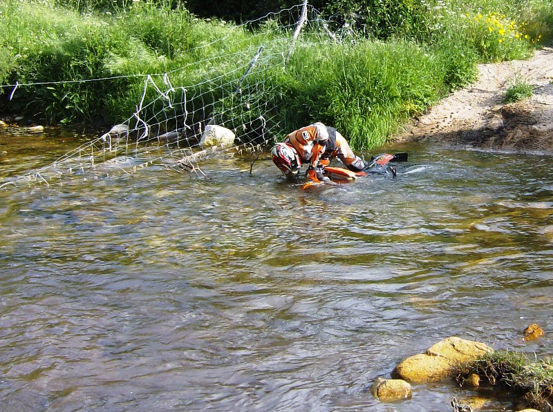 Il Nonno affonda nel Fiume.JPG